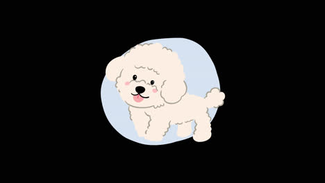 cute cartoon white poodle