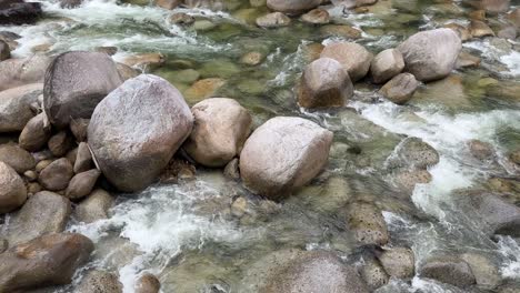 Clear water flows over smooth boulders in a lush rainforest setting, captured with natural lighting and steady camera work