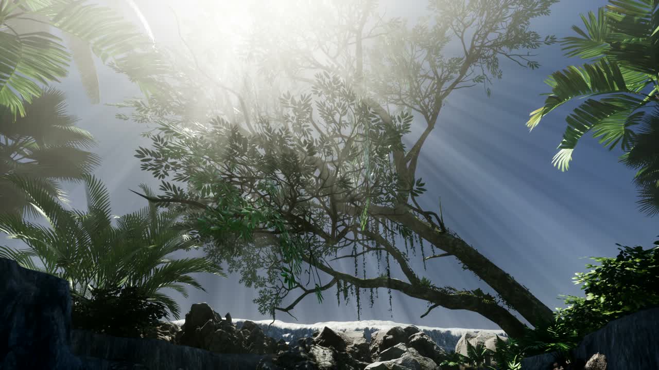 ⁇ 나무 를 가로지르는 해 가 지는 광선