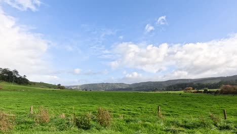 lush green fields and distant hills