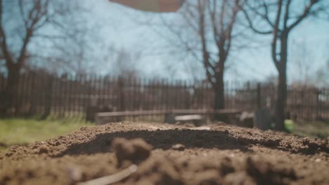 close-up of a shovel preparing soil in a garden on a sunny day with a fence and trees in the background