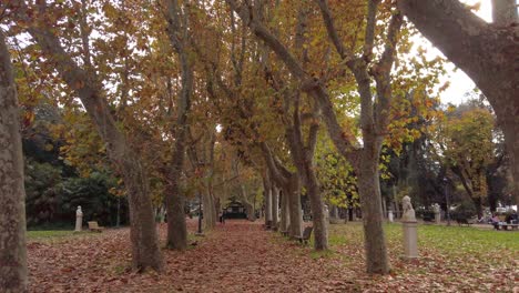 Walking-on-a-path-bordered-by-platanus-in-Villa-Borghese-gardens,-a-huge-urban-park-located-in-central-Rome,-capital-of-Italy