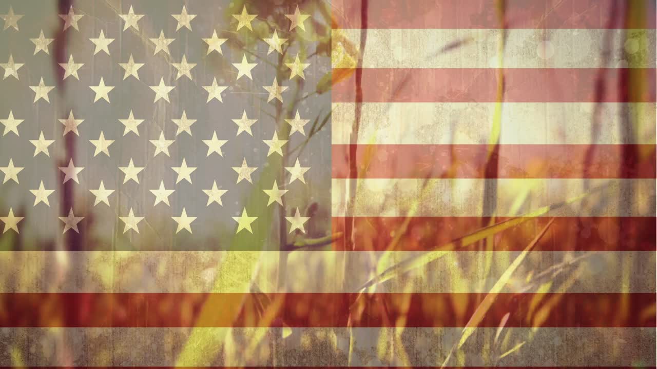 primer plano del campo