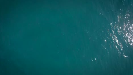 Vogelperspektive-Auf-Ein-Blaues-Karibisches-Meer-Und-Wellen,-Die-Gegen-Einen-Wellenbrecher-Schlagen