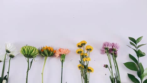 colorful flower arrangement on white background