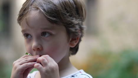 close up face and head portrait of a blonde kid eating a snack outdoors