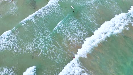 aerial footage captures surfers navigating waves in ocean grove, australia. clear skies and turquoise waters create a serene coastal scene