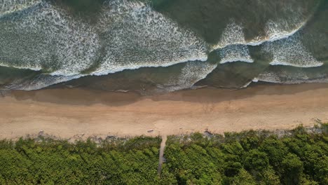 still aerial footage of playa grande in guanacaste province