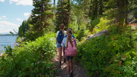 people hiking on a forest trail by a lake