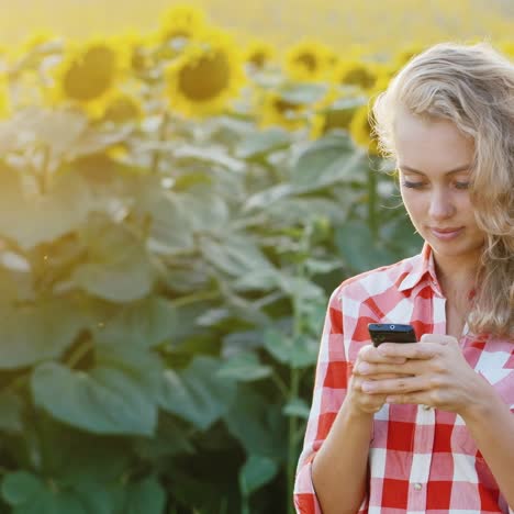 Farmers-work-near-a-field-of-flowering-sunflowers-3