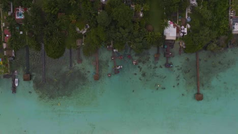 tropical bungalow villas on reef coast of bacalar, mexico - aerial top down