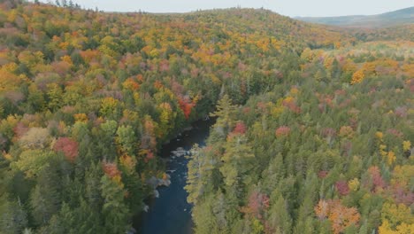 big wilson stream flows through dense fall colored woodland