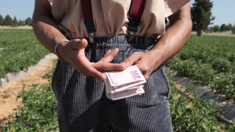 contando dinero en el campo