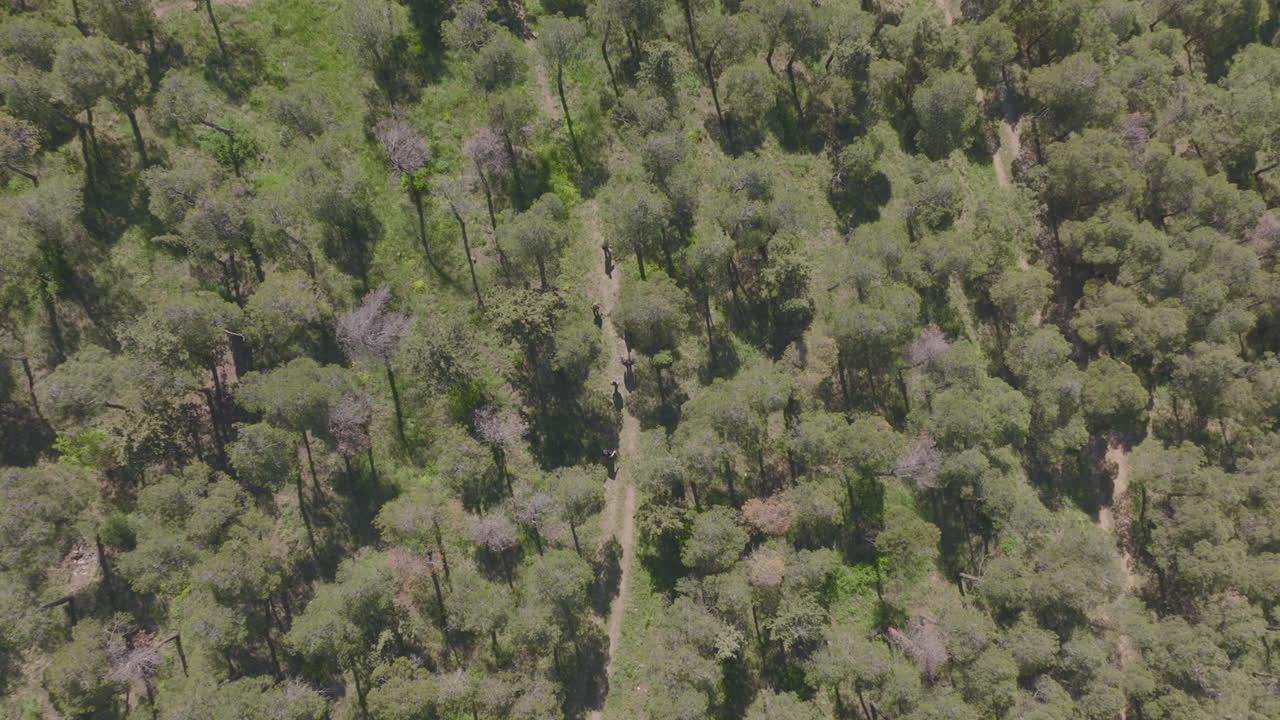 Rising birds-eye-view shot of a group of friends walking along a hiking trail in Georgia