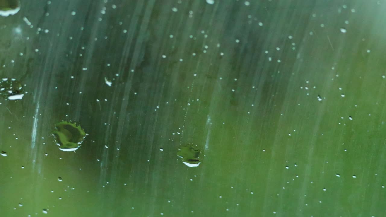 멜버른의 창문 아래로 흘러내리는 비방울