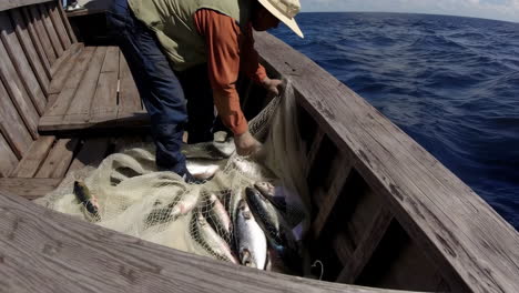 fishermen hauling a net of fish
