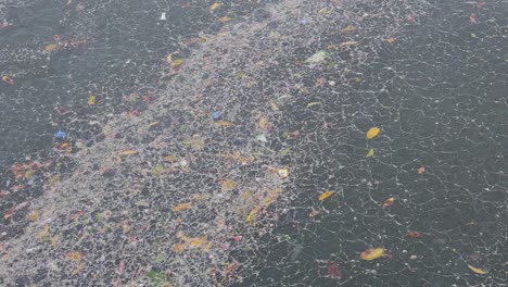 floating debris and pollution on water surface