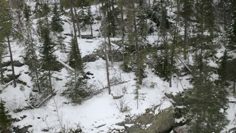 Estante-Rocoso-Del-Escudo-Canadiense-Cubierto-De-Nieve,-A-Lo-Largo-De-Una-Costa-Congelada