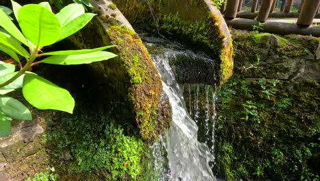 water flowing over mossy rocks at distillery