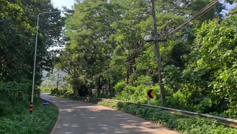 driving on a winding road surrounded by greenery