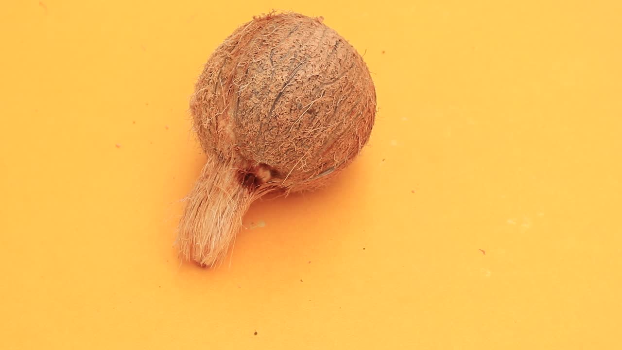 coco entero aislado sobre un fondo amarillo