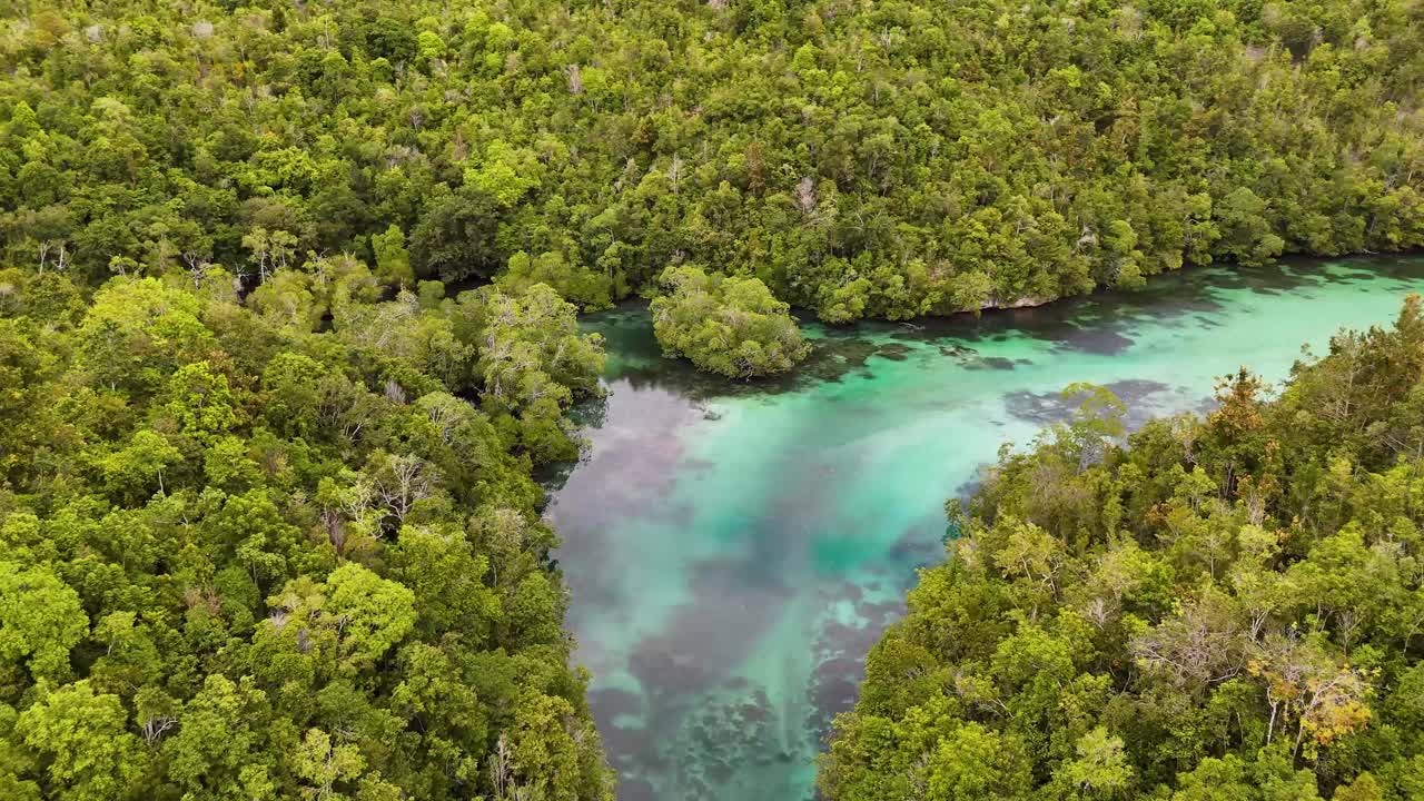 4k Drone video of Mbuang Mbuang, a beautiful ocean lagoon hidden in the tropical forest landscapes in the Banggai Islands, Sulawesi Indonesia