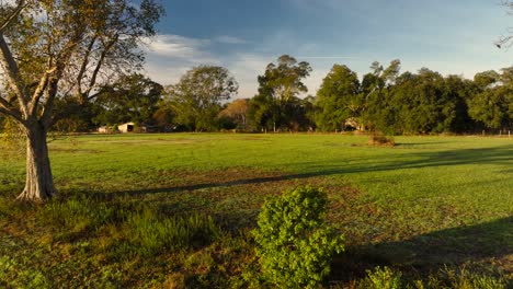 Alter-Bauernhof-In-Der-Nähe-Von-Fairhope-Alabama-Im-Morgendlichen-Drohnenblick