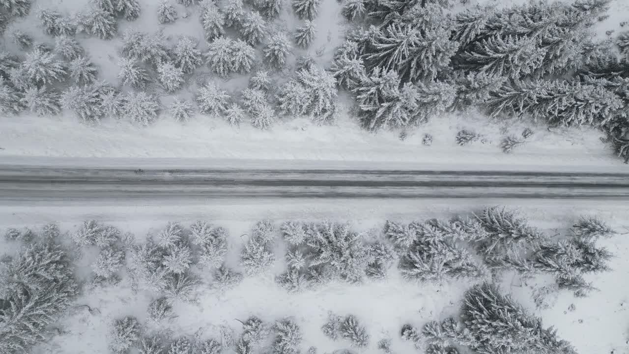 Vertical aerial footage captures a snowy forest road lined with frosted trees, serene winter beauty, and pristine surroundings. Aerial, bird's eye view.