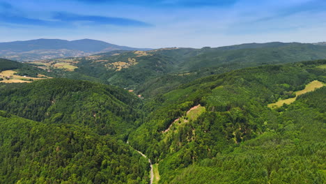 lush green hills under clear blue sky. a breathtaking landscape of rolling green hills covered with trees stretches under a bright blue sky in daytime