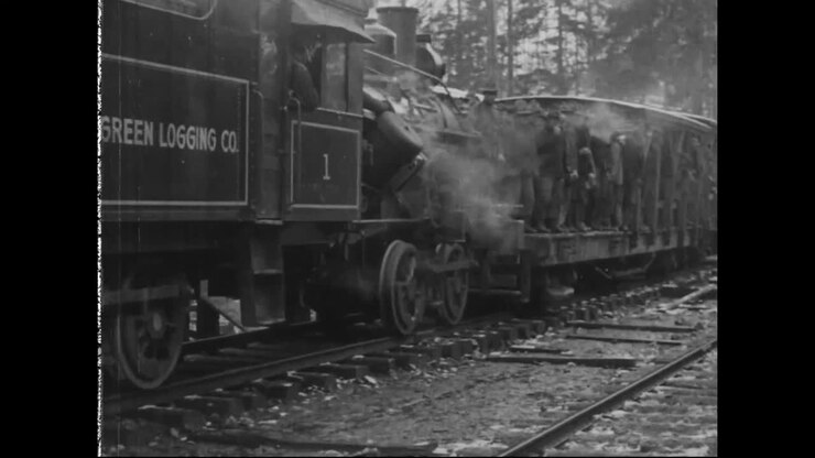 Forests Are Logged And Trees Are Felled In 1917