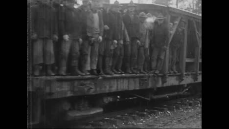 Forests-Are-Logged-And-Trees-Are-Felled-In-1917