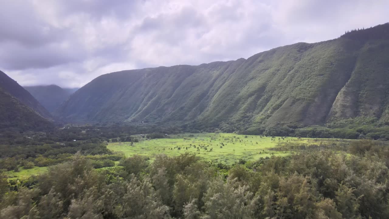 Pull-out drone shot showcasing the expanse of Waipi'o Valley on Hawaii's Big Island under a patchy sunlit, partially cloudy sky