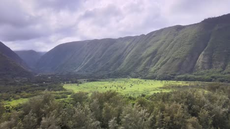 Pull-out-drone-shot-showcasing-the-expanse-of-Waipi'o-Valley-on-Hawaii's-Big-Island-under-a-patchy-sunlit,-partially-cloudy-sky