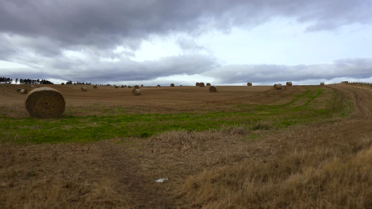 campos de trigo con balas de heno en el campo en un día nublado