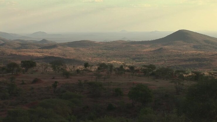 Una vista panoramica della savana africana al tramonto, con erba dorata in primo piano, sagome di alberi di acacia e colline in lontananza sotto un cielo drammatico e colorato