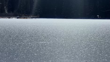 tilt up handheld shot of the frozen silver lake revealing a wooden boardwalk and pine trees in the famous ski town of brighton, utah on a sunny warm winter day