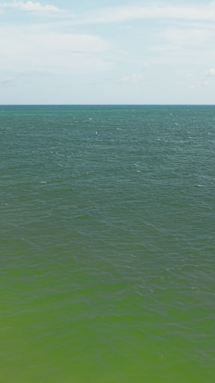A flock of seabirds scatters across the sandy shoreline as small turquoise waves roll onto the coast, creating a calm and natural beachside scene