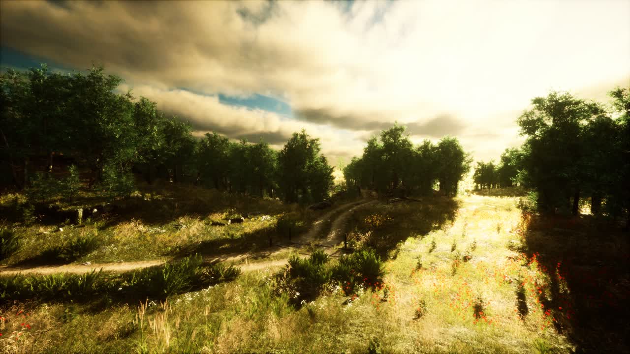 nubes de lluvia pesadas sobre el campo al atardecer
