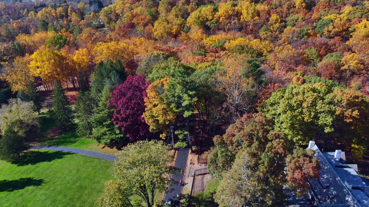 una vista aérea de alto ángulo sobre una tranquila carretera de campo con árboles coloridos a su alrededor en un día soleado de otoño