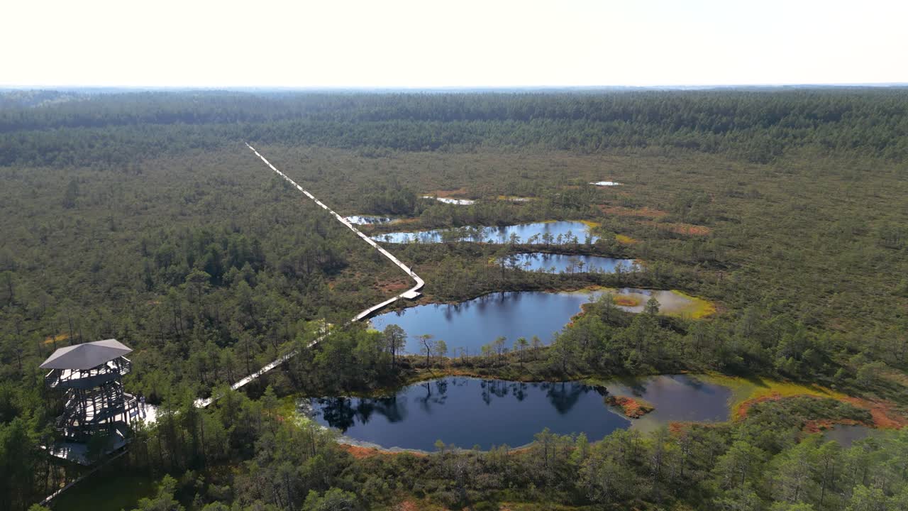 Slow motion drone reveal shot over beautiful natural forest area with reflecting forests