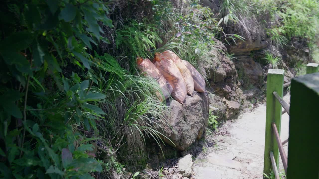 Exploring the beautiful places in Meghalaya mountain