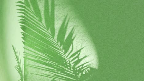 Green-textured-wall-with-palm-frond-shadow-waving-in-wind-on-back,-vertical