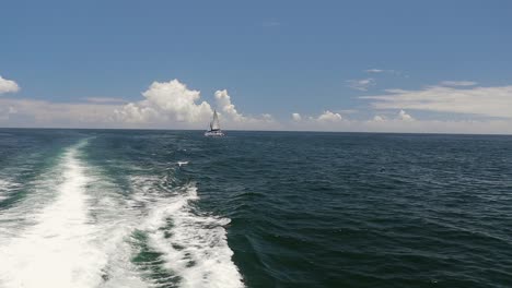 a pan shot following birds flying over the water wake left behind a catamaran