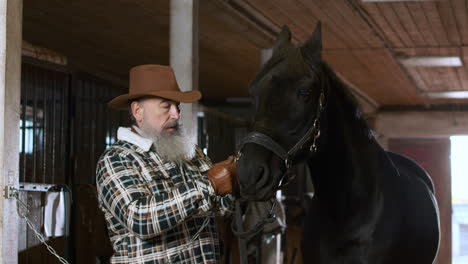 mann mit pferd im stall