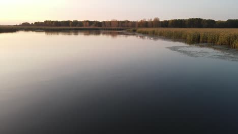 Aerial-footage-of-clean-lake-water-and-white-swan-floating-on-it