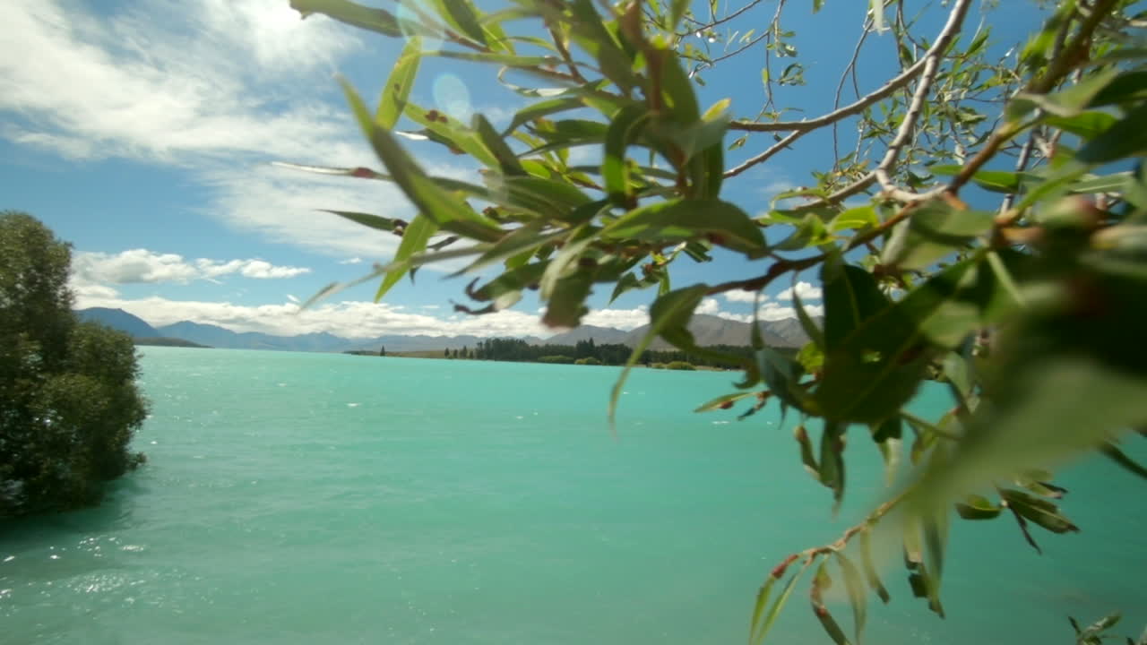 las hojas soplan en el viento
