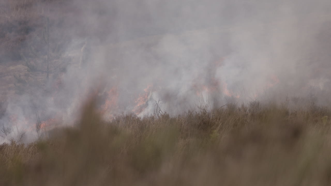 들판에 활기를 불어넣기 위해 제어된 불 뒤에서 걷는 남자의 슬로우 모션 추적 샷