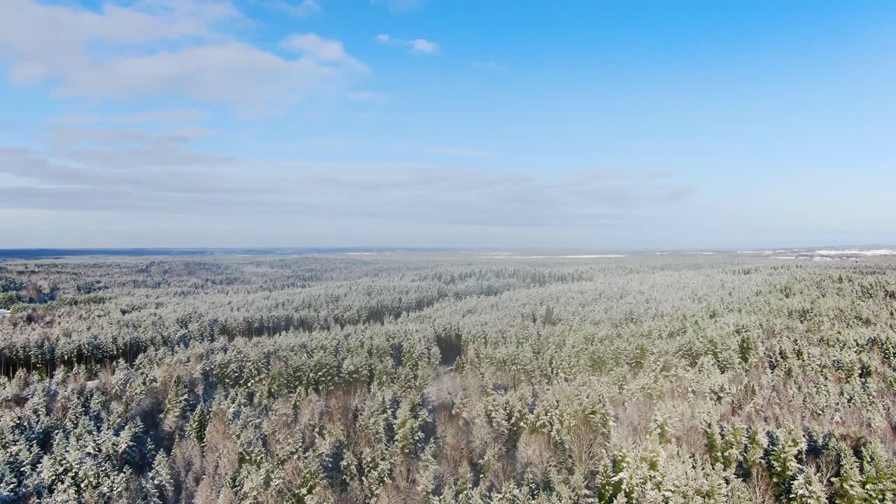 Sneklædt skov luftfoto