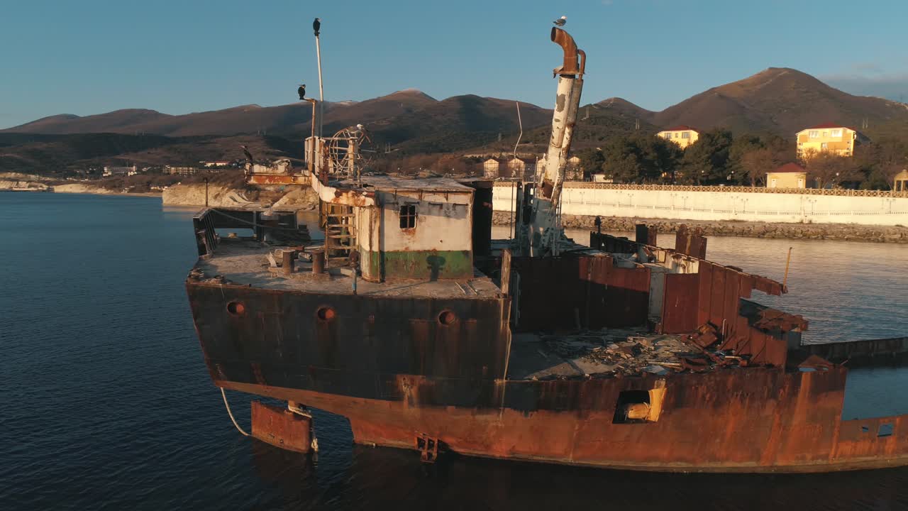 해변 에 있는 녹은 배 손물