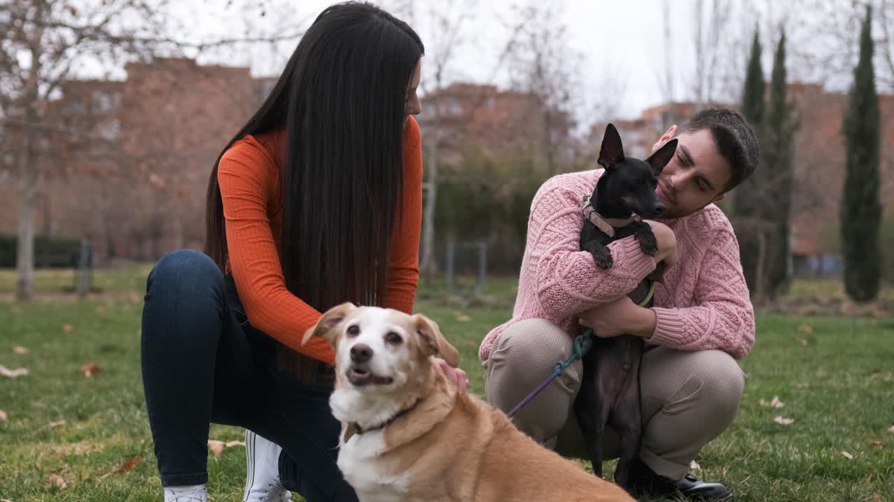 Couple stroking and petting their dogs while enjoying a day outdoors together in the park.